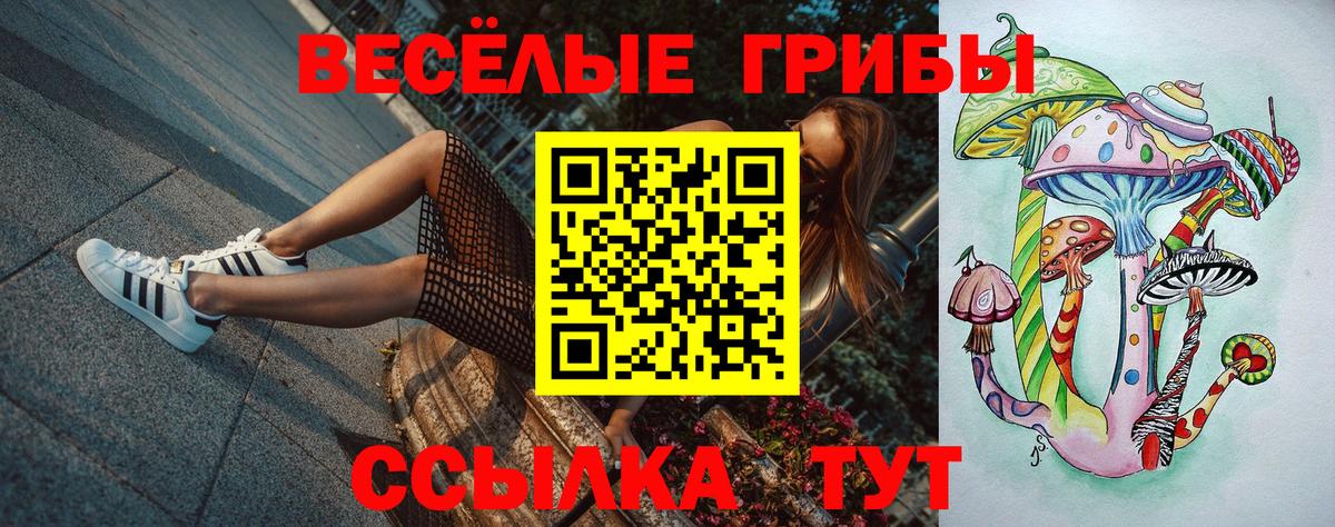 Галлюциногенные грибы мухоморы Обнинск