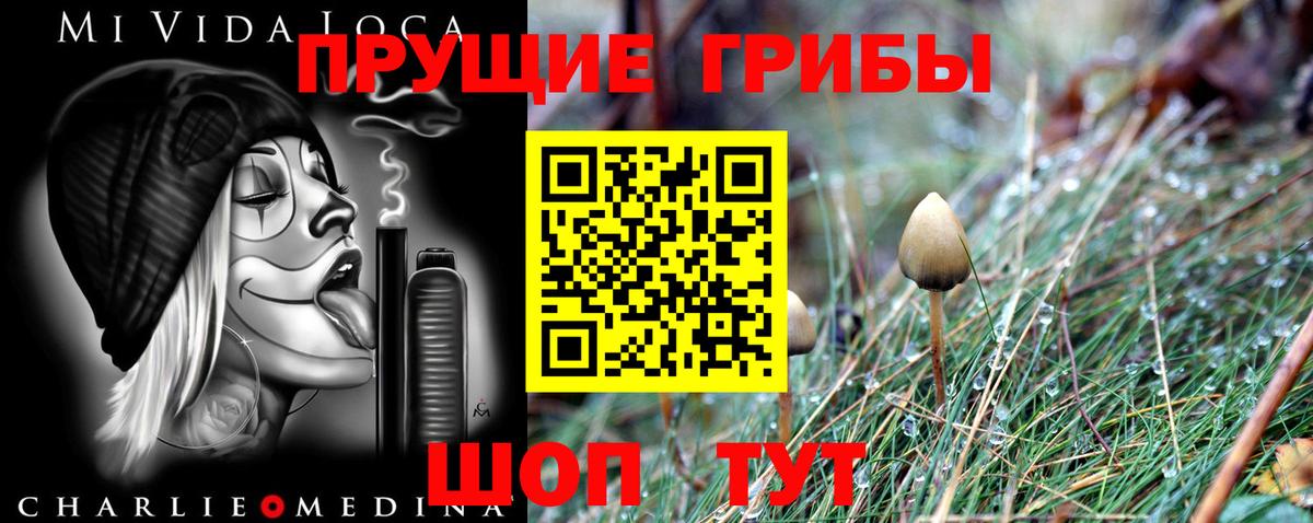 Обнинск  Псилоцибиновые грибы MAGIC MUSHROOMS  Вход с VPN 
